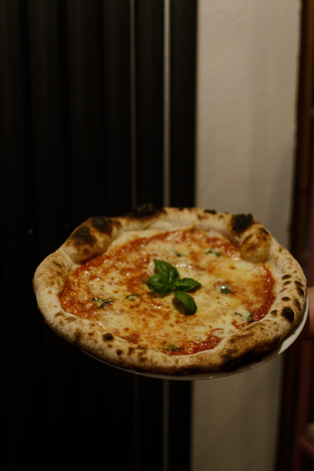 Pizza Margherita z bazylią
