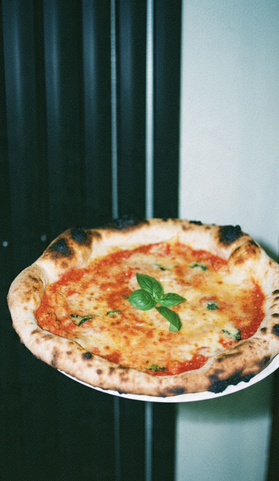 Pizza Margherita